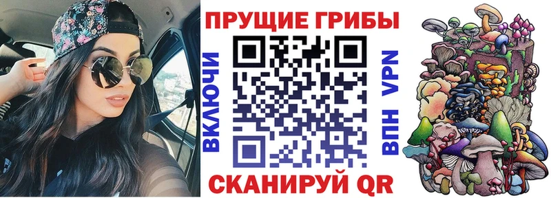 OMG tor  darknet официальный сайт  Псилоцибиновые грибы Cubensis  Петров Вал 